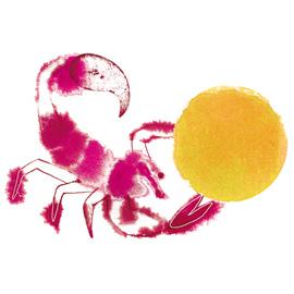 Scorpione